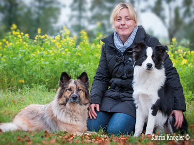 Hundefriseur Hundstauglich - Behamberg nähe Steyr